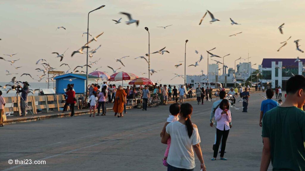 Bang Pu Pier Möven