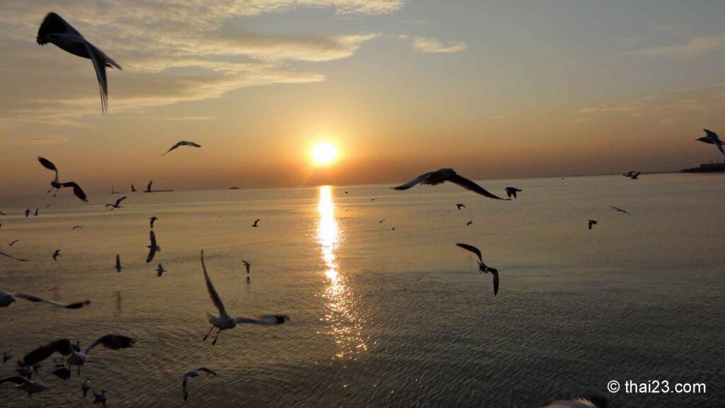 In Bang Pu auf dem Pier erlebt man magische Sonnenuntergänge