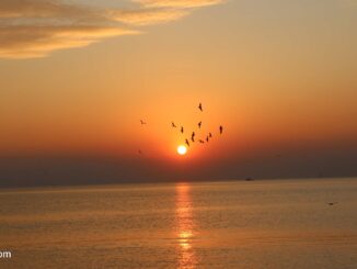 Sunset am Pier Saphan Suk Ta in Bang Pu